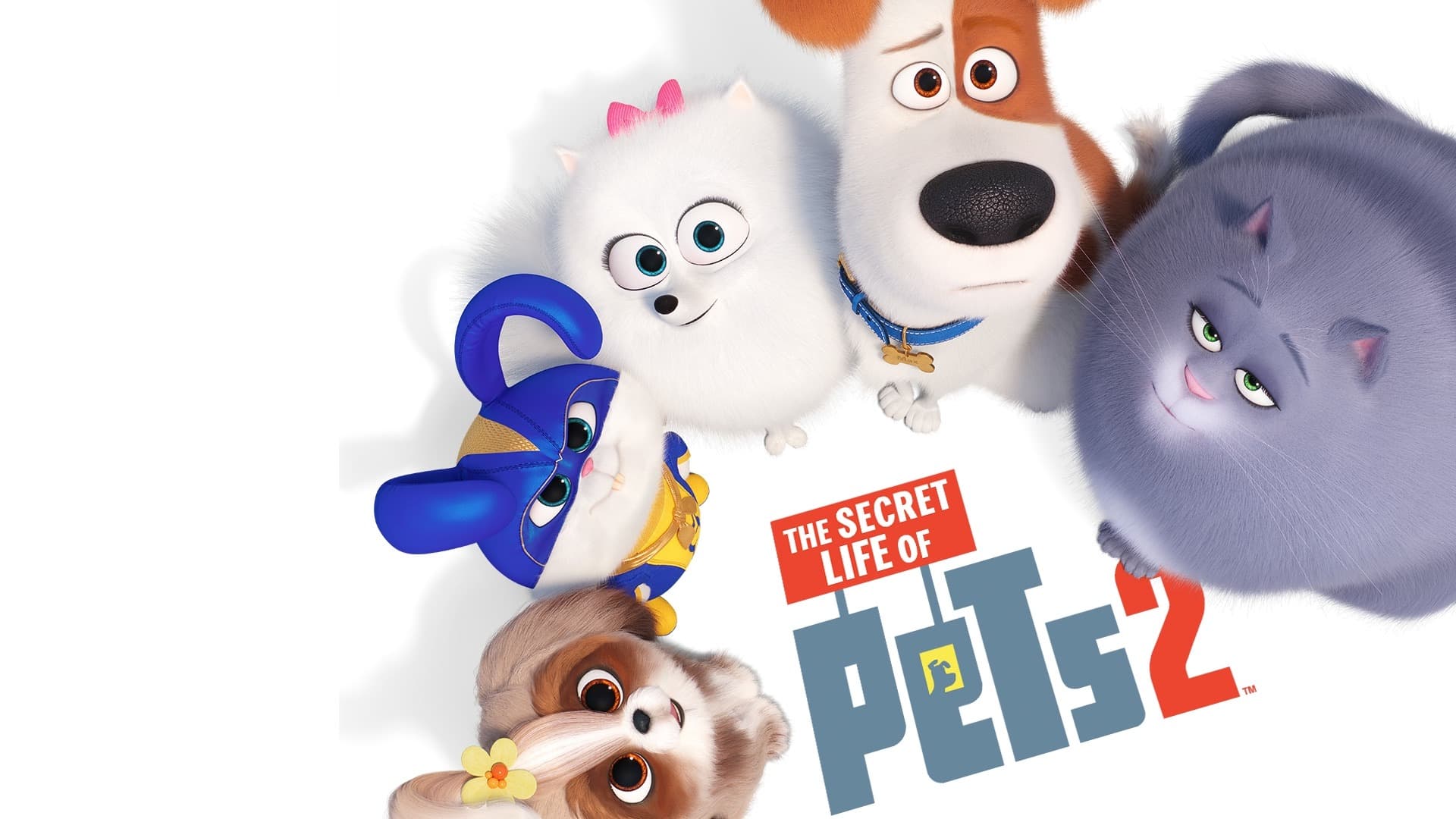 زندگی پنهان حیوانات خانگی ۲